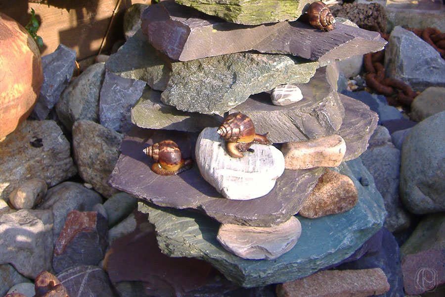 Slate Rockery close up of slate natural rock