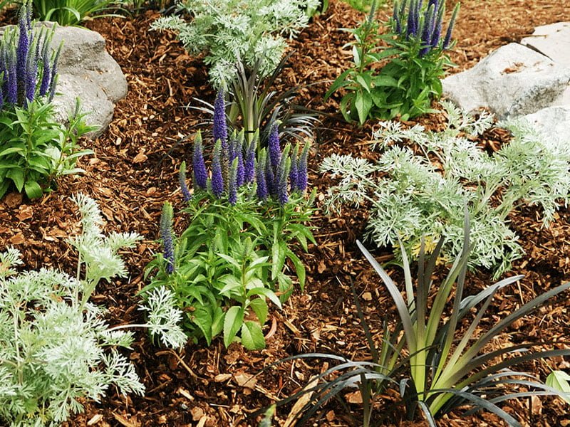 How To Lay Bark Chippings A Comprehensive HowTo DIY Guide