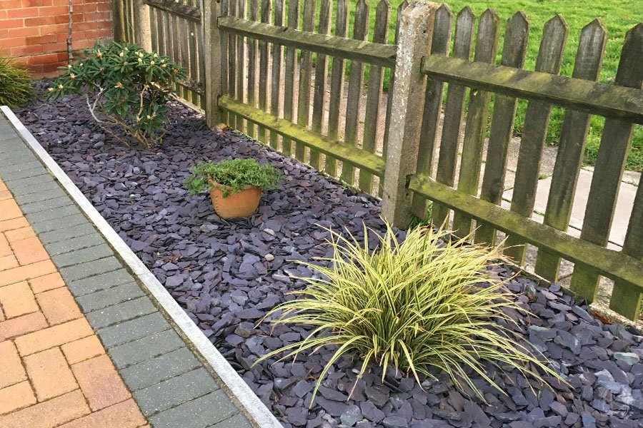 blue slate chippings garden garden with blue slate chips