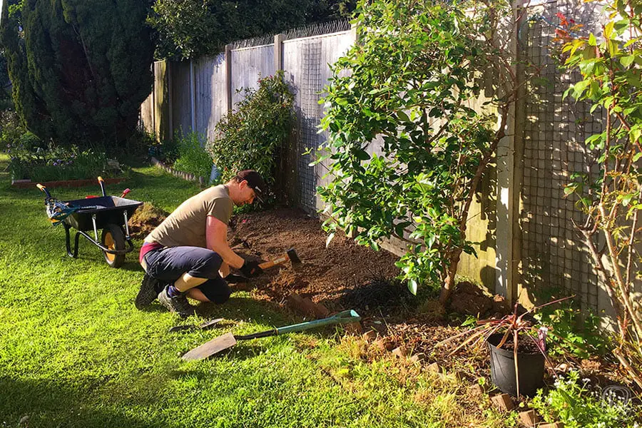 A man working on a garden