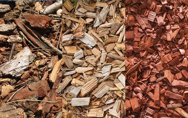  Bark wood and coloured red chips next to each other for comparison