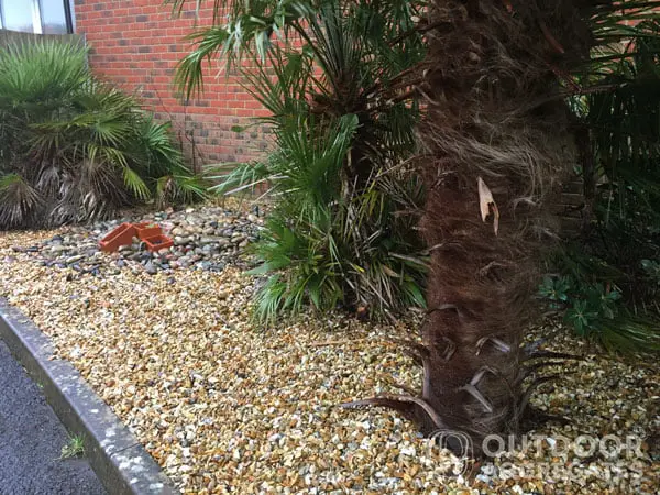  Golden yellow gravel mulch