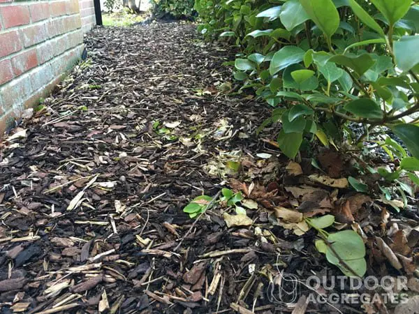  Wood chippings mulch around young plants