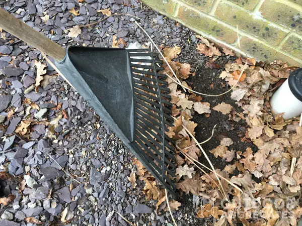  Cleaning dead leaves from slate chips garden