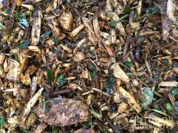  Fresh chipped wood close up