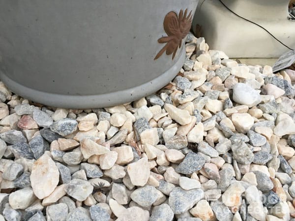 Word3 flamingo gravel Flamingo gravel - image 3