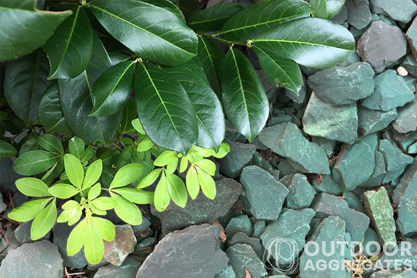 Word2 green slate chippings Green slate chippings - image 3