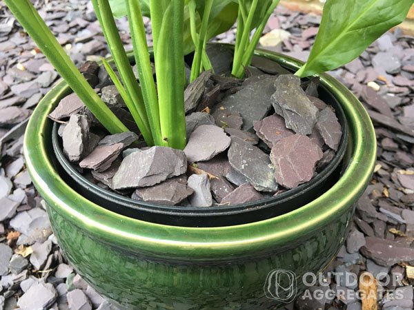 Slate mini mulch in garden pot