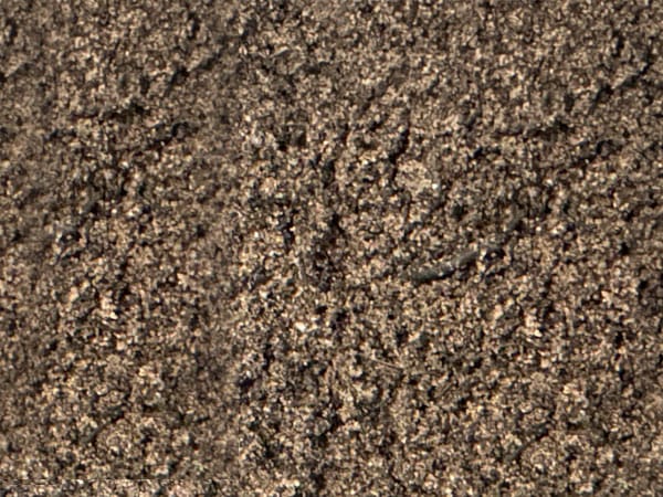 Word1 urban tree soil Urban tree soil