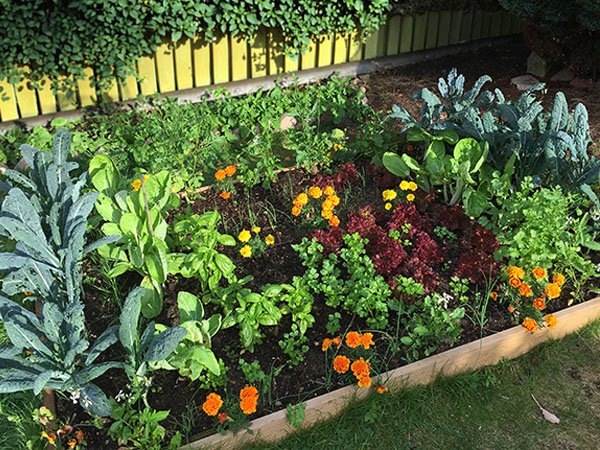 Composts soil improvers category