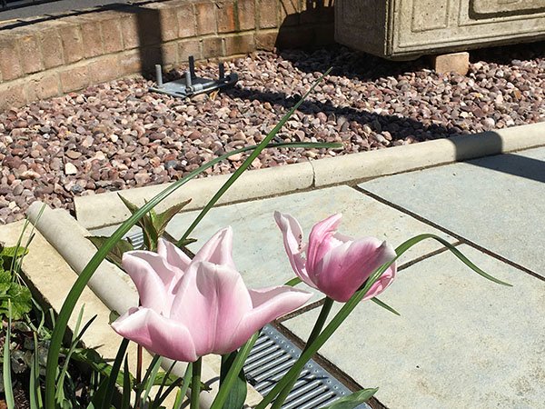 Word3 staffordshire pink gravel Staffordshire pink gravel - image 3