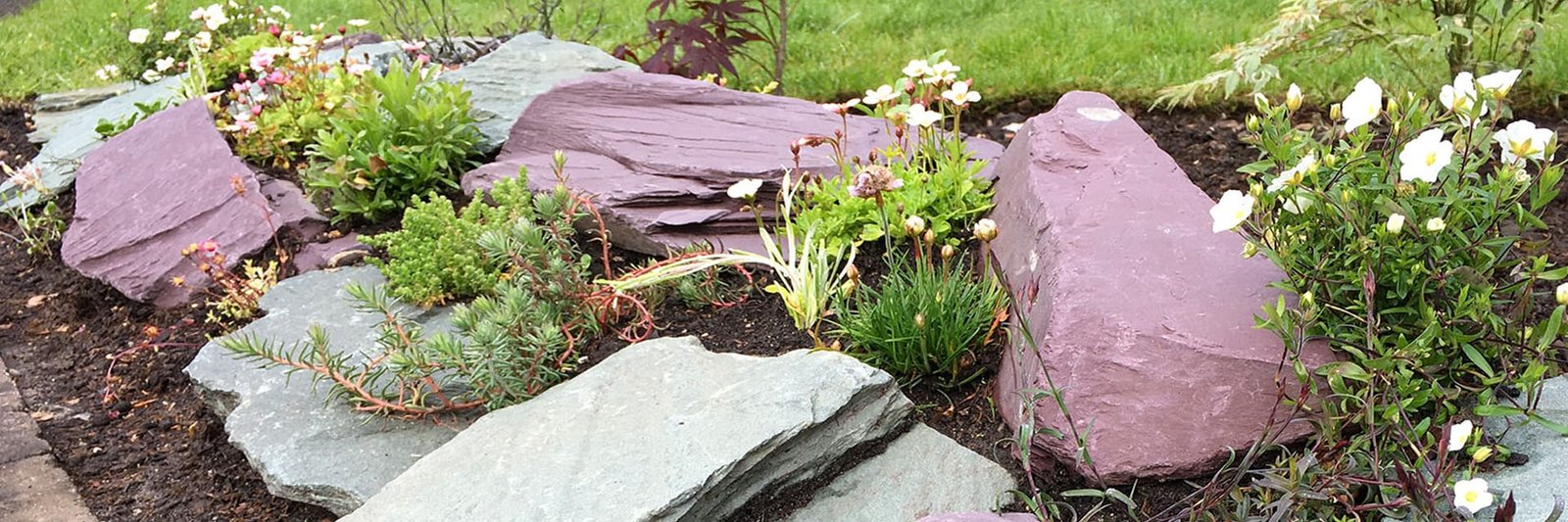 Plum slate boulders slate rockery