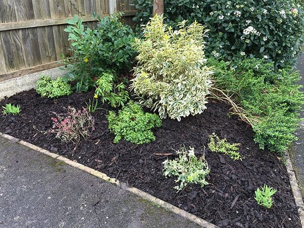 Wood chippings category