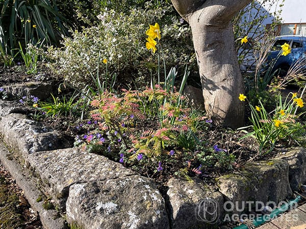 Word3 topsoil Eco value topsoil - image 3