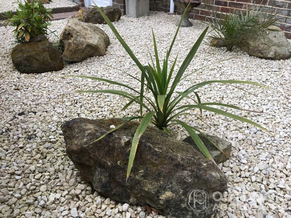 Word1 cotswold chippings Cotswold chippings - image 3