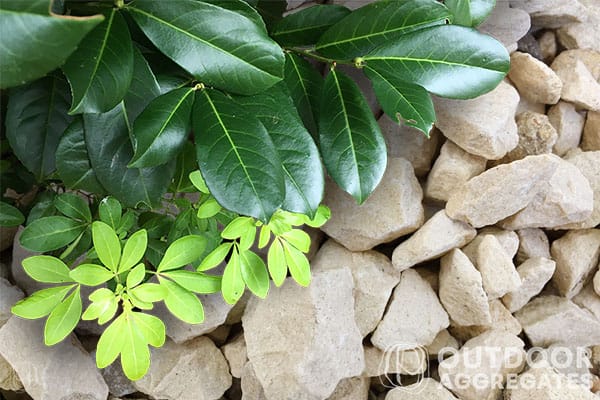 Word1 cotswold chippings Cotswold chippings - image 5