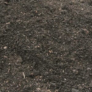 Ericaceous Compost
