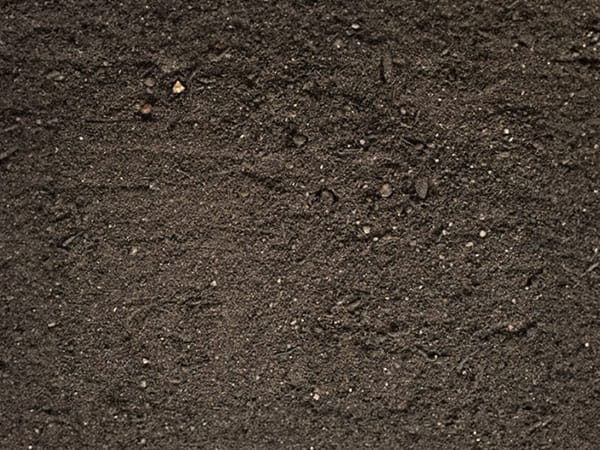 Word3 john innes no. 3 John innes no. 3 compost