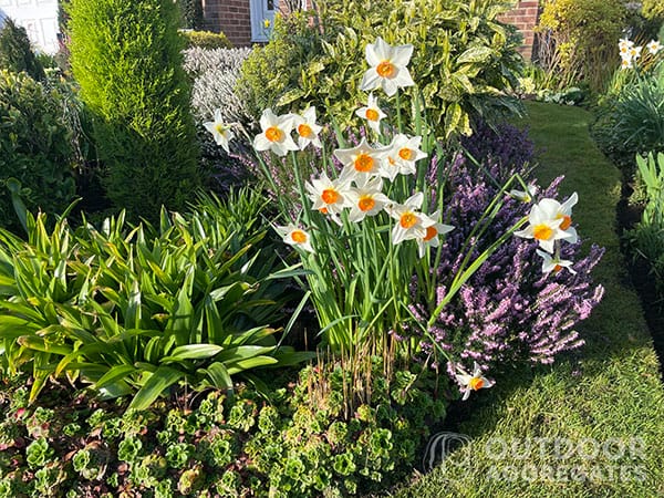 Word2 premium topsoil Premium topsoil - image 2