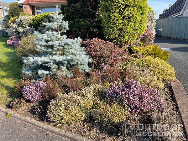 Word3 john innes no. 3 John innes no. 3 compost - image 3