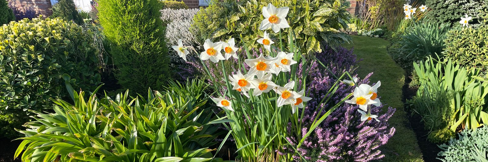 Topsoil for garden borders