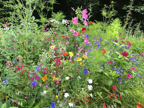 Word1 low fertility topsoil Low fertility topsoil - image 2